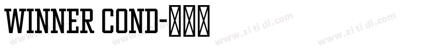 Winner Cond字体转换